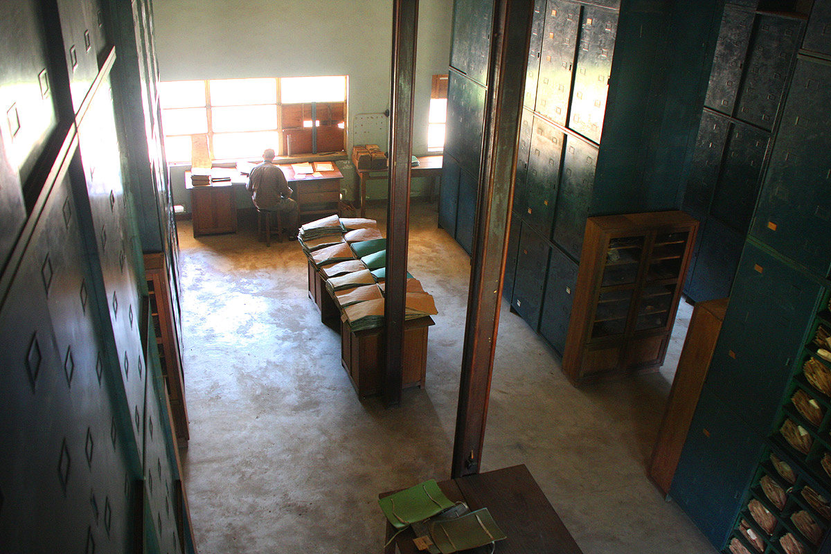 Herbarium working area.