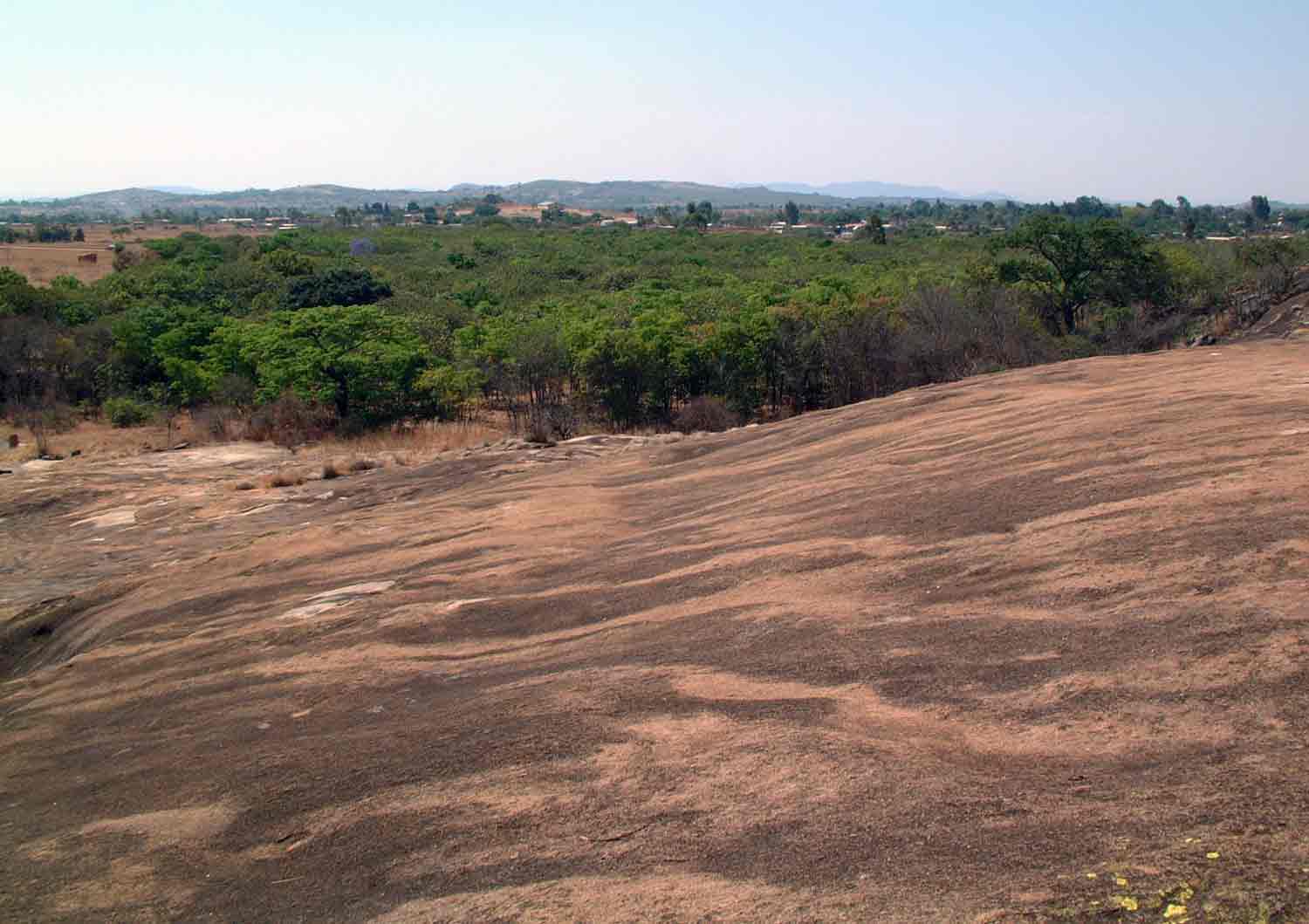 View of Sacred Forest (mostly Uapaca kirkiana)