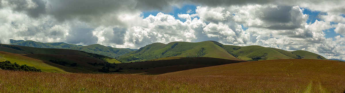 View to Nganda Hill with typical montane Nyika landscape of rolling grasslands with small patches of evergreen forest. View to Nganda Hill with typical montane Nyika landscape of rolling grasslands with small patches of evergreen forest.