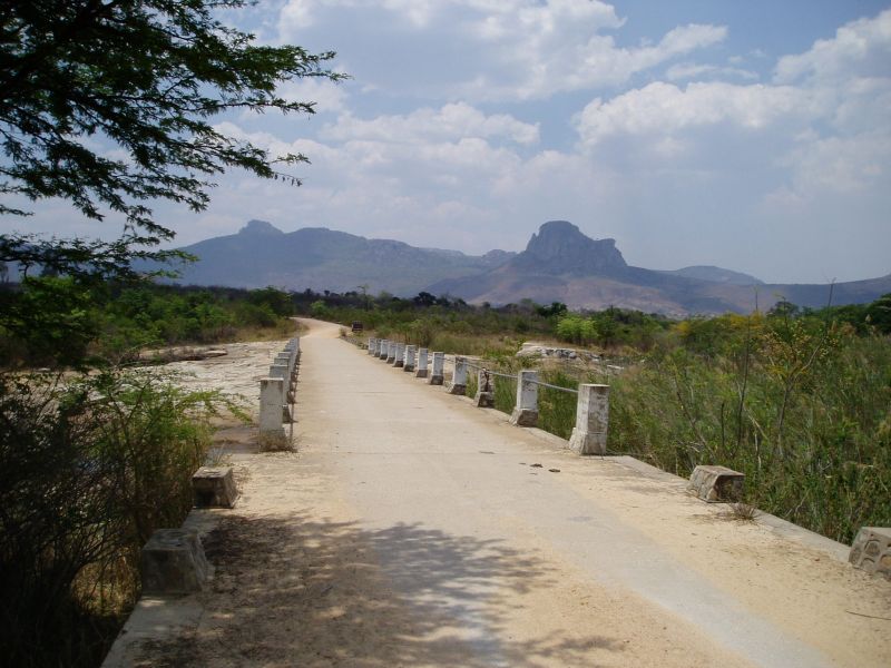 View from the southern end of the bridge looking north. Bart's car is faintly visible just past the bridge on the right. The peak on the right is Mt Masendwa which is 4.5 kms away and 1560 m high. The peak on the left is Mt Jena, 6.5 kms away and 1760 m high.Most of the plants found were either in the river bed on the left or in the dry open area on the other side of the road nr the car. Further collecting was done 100 - 200 m on the far side of the river on the left. View from the southern end of the bridge looking north. Bart's car is faintly visible just past the bridge on the right. The peak on the right is Mt Masendwa which is 4.5 kms away and 1560 m high. The peak on the left is Mt Jena, 6.5 kms away and 1760 m high.Most of the plants found were either in the river bed on the left or in the dry open area on the other side of the road nr the car. Further collecting was done 100 - 200 m on the far side of the river on the left.