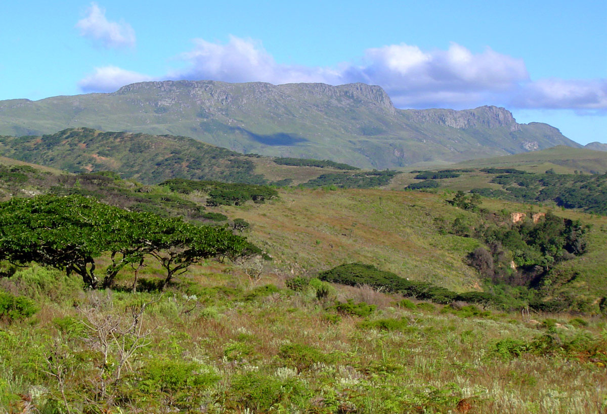 Mt Nyangani on a clear day,seen from the Circular Drive.