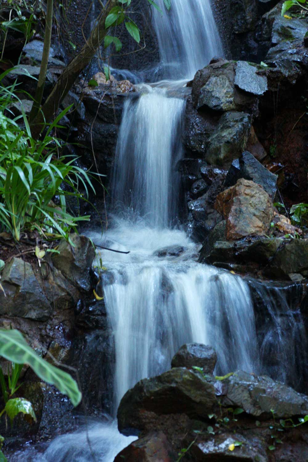 Small waterfall in the forest part of La Rochelle Botanic Garden