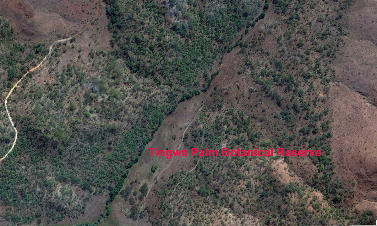 Tingwa Palm Botanical Reserve