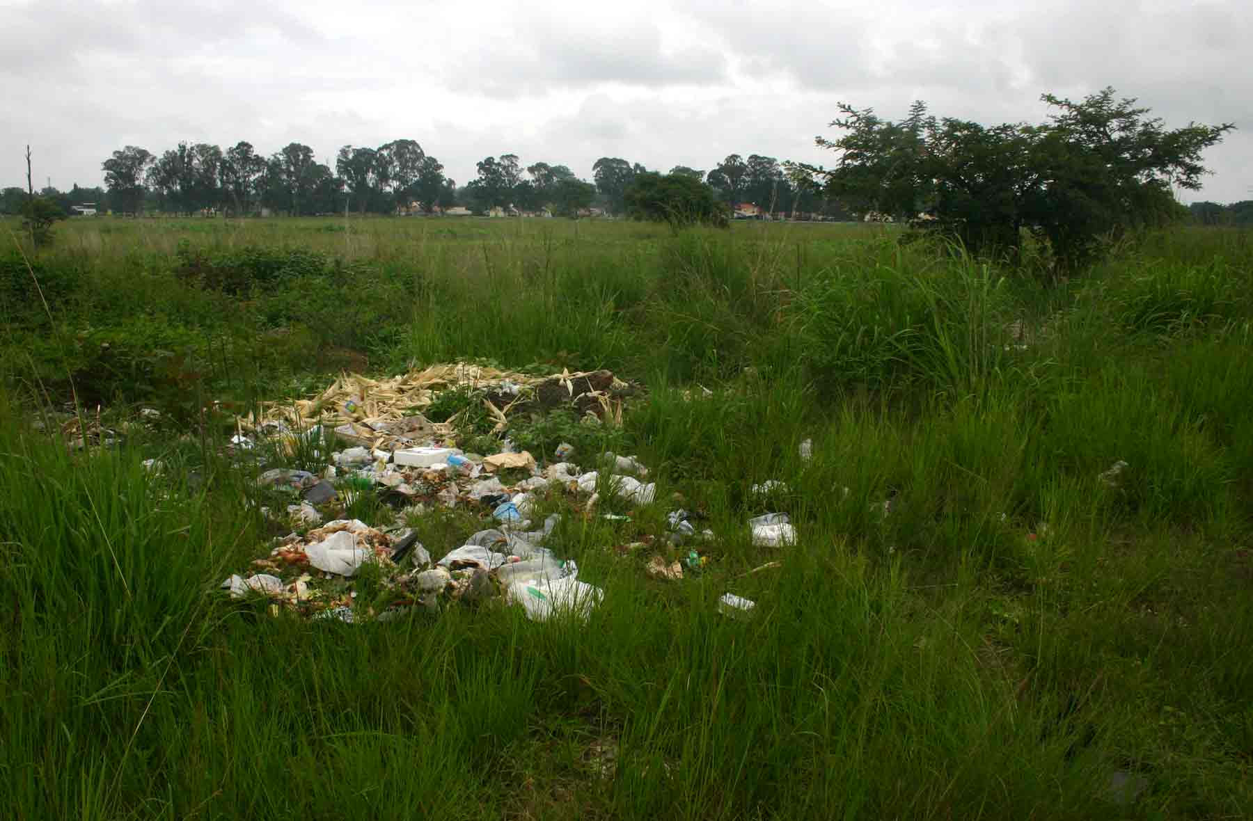 At the corner of Lanner Avenue and Teviotdale Avenue showing the all too common sight of dumped rubbish.