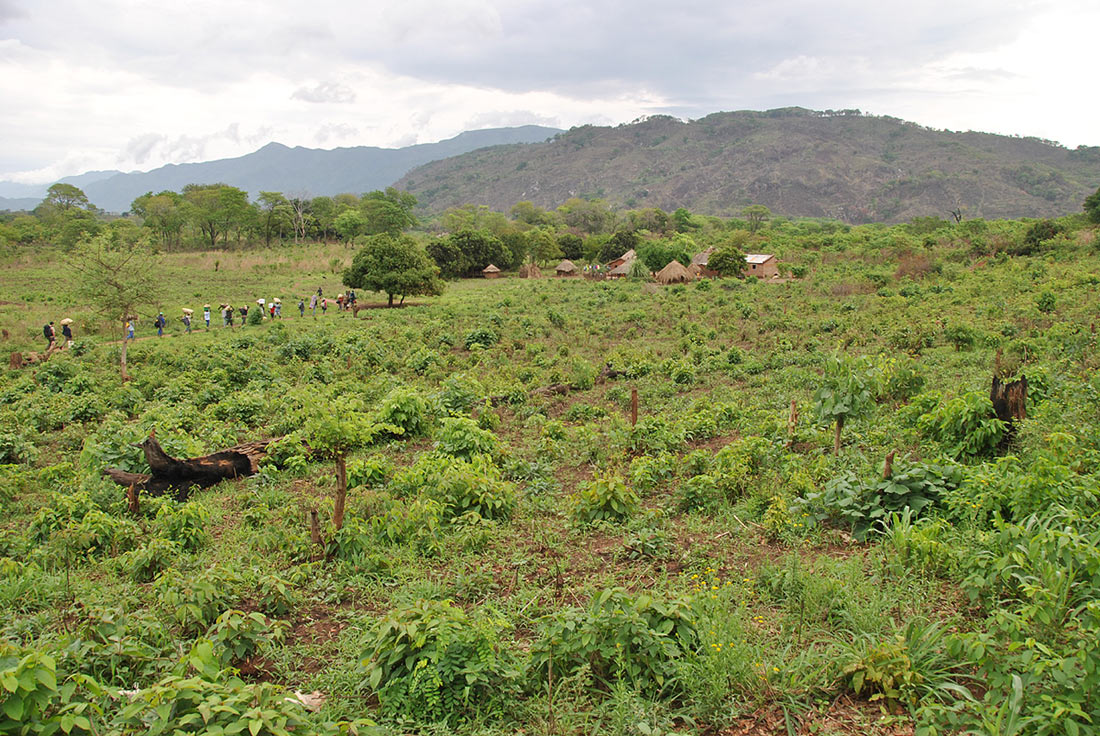 Walking through Zomba towards lower Chimanimani Mountains