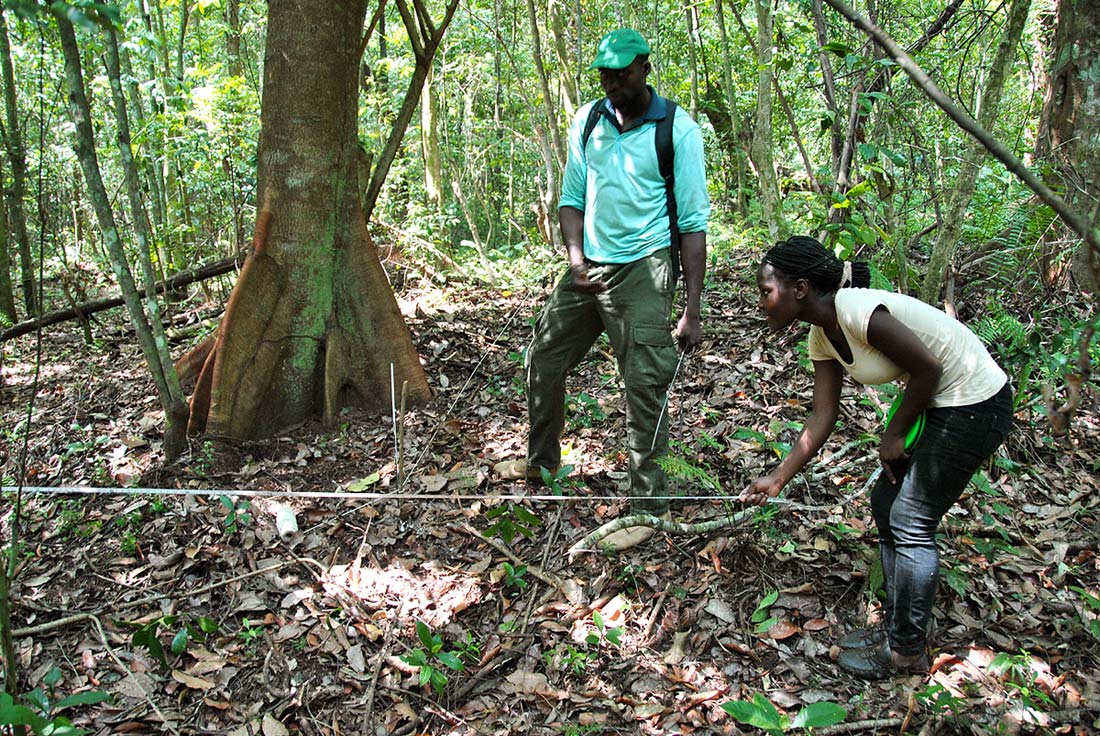 ISPN colleagues setting out a survey plot