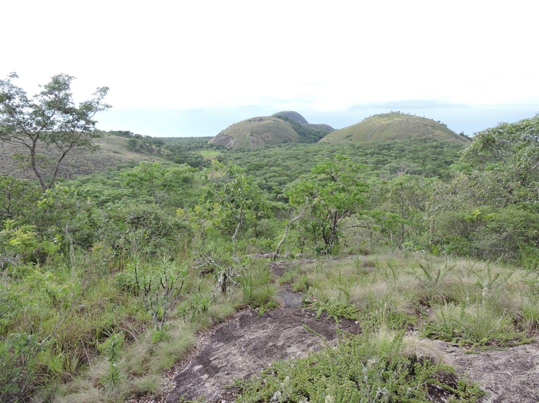 Mutinondo inselberg landscape. Habitat: Miombo woodland, inselbergs and rocky seepage slopes. Location: Mutinondo Wilderness Lodge, Mpika District, Muchinga Province