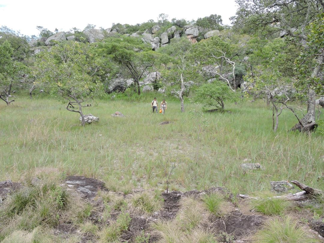 Ruth and Kaz at Kapishya. Habitat: rocky woodland and seepage dambos. Location: Kapishya Hotsprings, Chinsali District, Muchinga Province

