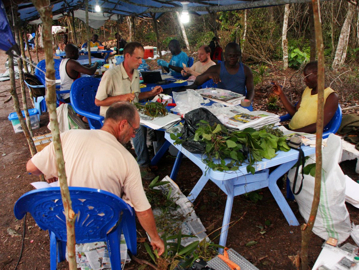 Processing plant samples after a day in the field.
