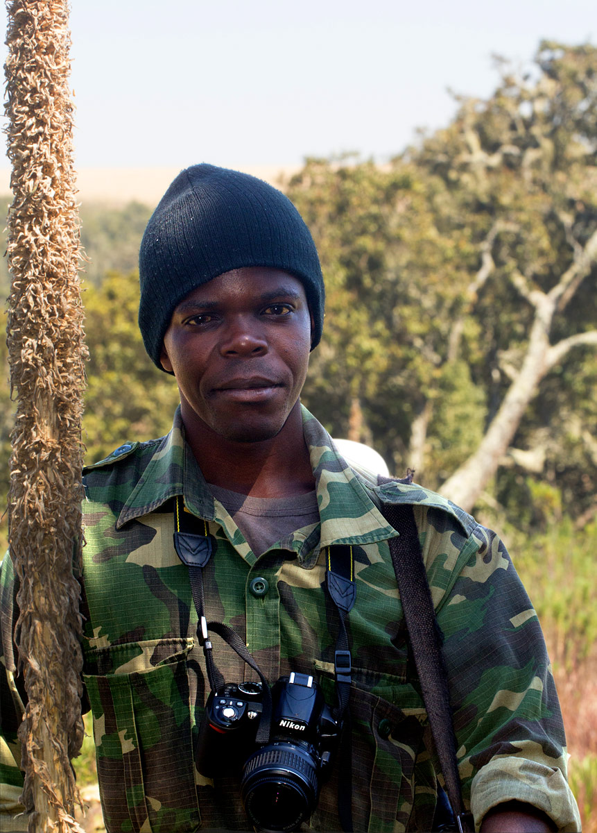 Mike with the dried inflorescence of Lobelia mildbraedii