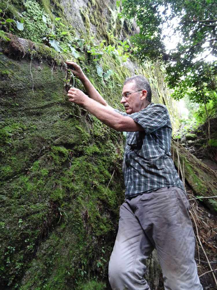 Ton Rulkens observing a small specimen of Aloe rulkensii at the type location on Mount Ribaue, Mozambique